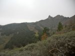 DSCN2248.jpg