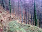 07022010_002.jpg