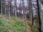 trekutz-lizaiturri (11).jpg