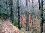 trekutz-lizaiturri (16).jpg