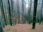 trekutz-lizaiturri (18).jpg