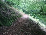 15072011_003.jpg