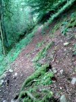 15072011_005.jpg