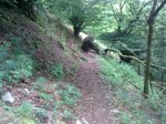 15072011_006.jpg