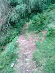 15072011_007.jpg