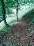 15072011_008.jpg