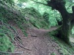 15072011_009.jpg
