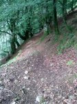 15072011_010.jpg