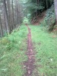 15072011_011.jpg