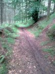 15072011_013.jpg