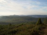 PC070121.JPG