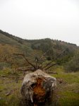 DSCN2258.jpg