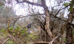 DSCN2259.jpg