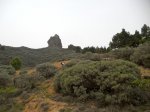 DSCN2261.jpg