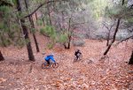 DSCN2267.jpg