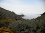 DSCN2272.jpg