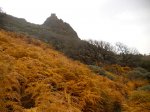 DSCN2273.jpg