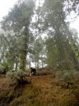 DSCN2274.jpg