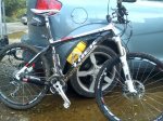 DSC00041_mini.jpg