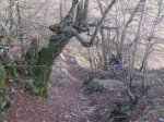 EXCURSION MUNDAKA 092 [1024x768].JPG