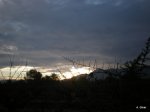 PC110011.JPG