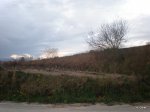 PC110012.JPG