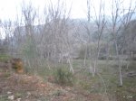 PC110017.JPG
