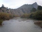 PC110018.JPG