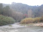 PC110019.JPG