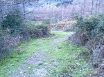 13122011009.jpg
