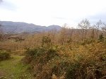13122011010.jpg