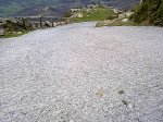 13122011049.jpg