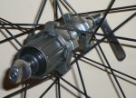 nucleo web.jpg