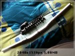 87e625ab19cd3771d4d56004d35a0126o.jpg