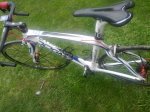 pinarello blanca (4).jpg