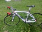 pinarello blanca.jpg