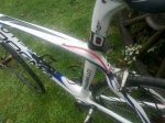 pinarello blanca (1).jpg