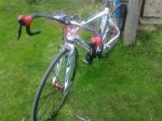 pinarello blanca (3).jpg