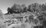 PANORAMICA-FEDE.jpg