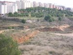 P1016380.JPG