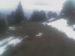 03-02-07_1103.jpg