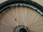 PICT0210.gif