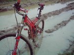 FILE0188.JPG