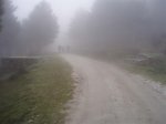 P2030035.jpg