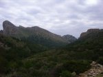 IMG_1107.jpg