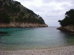 IMG_1117.jpg