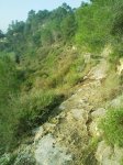 Image0002.jpg
