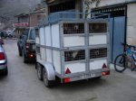 DSC04767_redimensionar.JPG