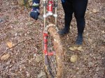 DSC04815_redimensionar.JPG