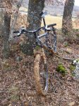 DSC04818_redimensionar.JPG